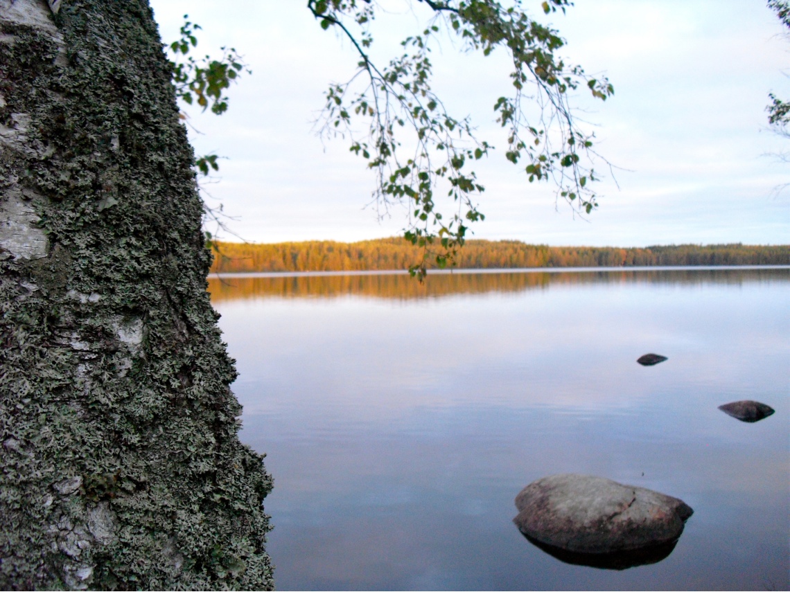 Morgonstund har gull i munn eller vad det nu heter, i vilket fall är det vacket som en dröm Morgonstund har gull i munn eller vad det nu heter, i vilket fall är det vacket som en dröm